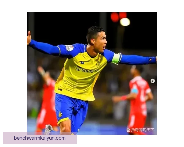 足球球星大全持续保持高关注度，球迷热情不减。