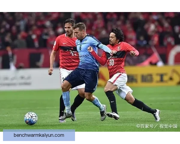 津巴布韦勇士队近期表现稳健，季赛状态持续提升引发关注