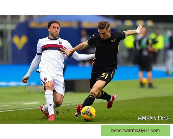 维罗纳本赛季防守数据表现稳健，失球数处于联赛中游水平